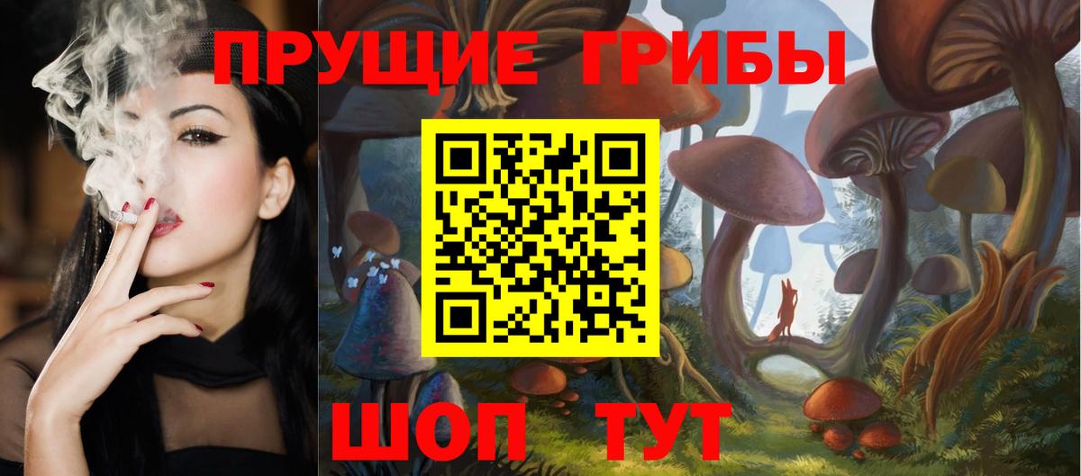Галлюциногенные грибы Psilocybe  Вход с VPN  купить закладку  Дюртюли 