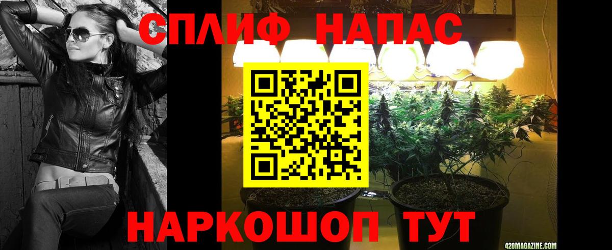 Бошки марихуана ГИДРОПОН Дюртюли